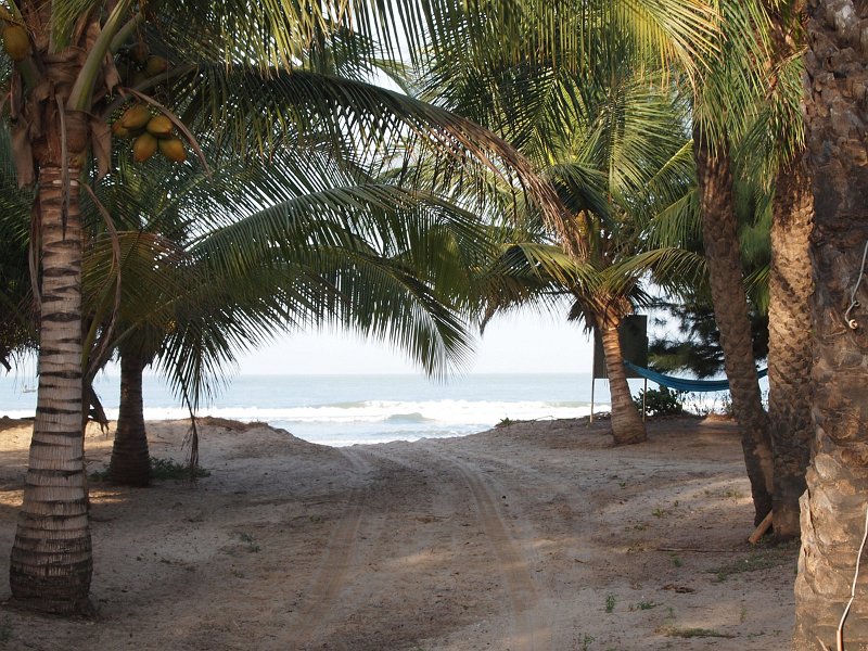 Au milieu de palmeraies et de cocoteraie en bordure de mer